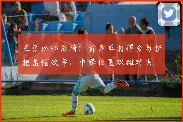 王哲林vs周琦:背身单打得分与护框盖帽效率,中锋位置双雄对决