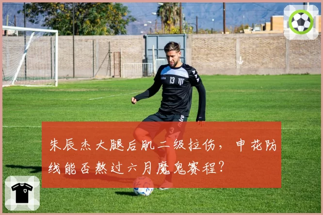 朱辰杰大腿后肌二级拉伤，申花防线能否熬过六月魔鬼赛程？