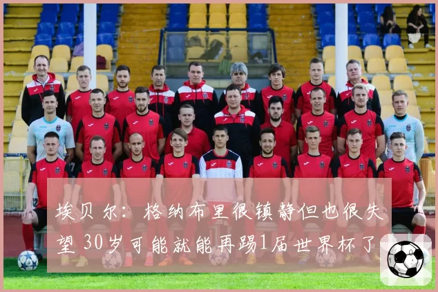 埃贝尔：格纳布里很镇静但也很失望 30岁可能就能再踢1届世界杯了